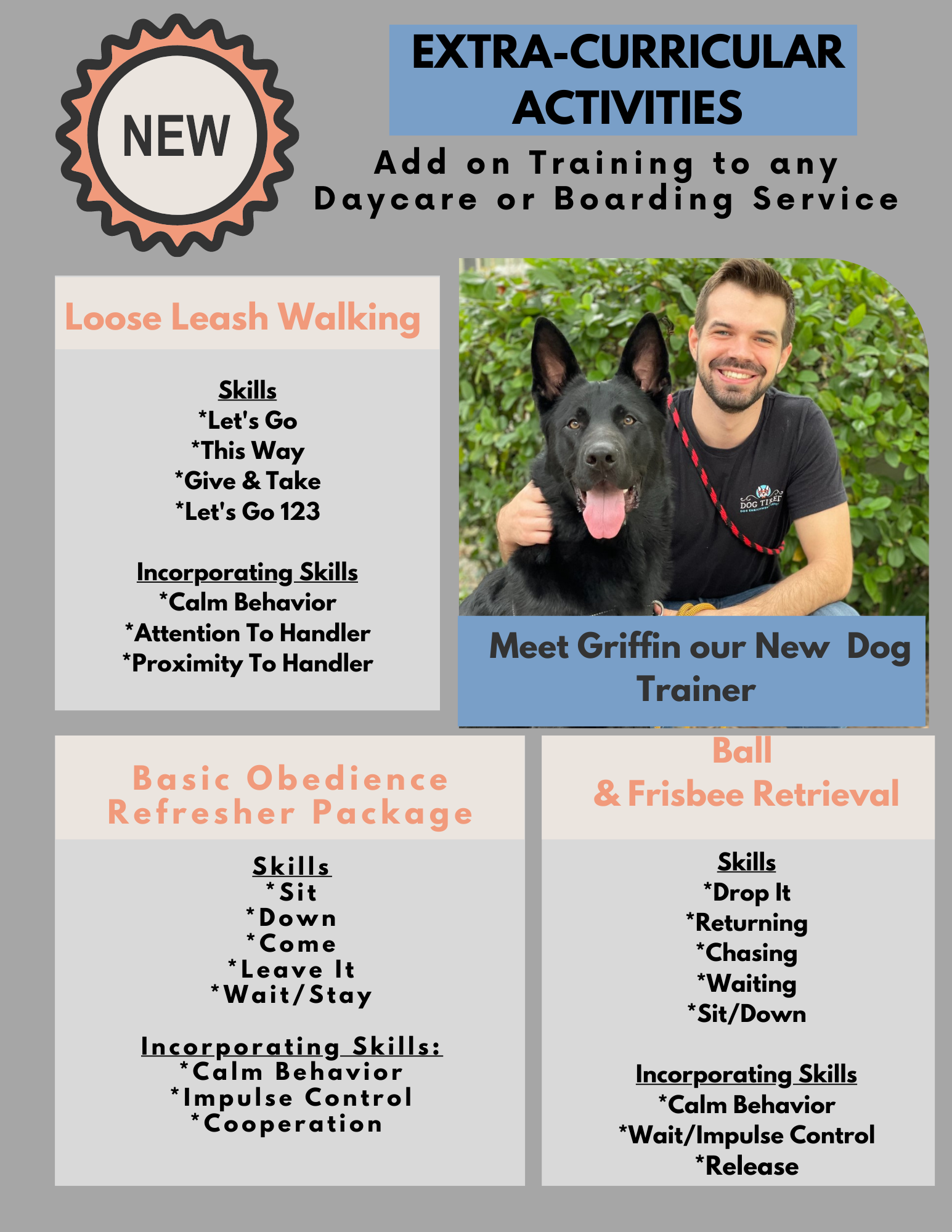 Can Allergies Make Your Dog Tired