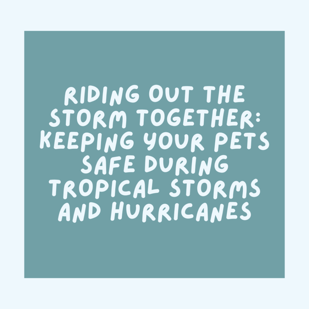 Image showcasing Riding Out the Storm Together: Keeping Your Pets Safe During Tropical ...