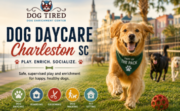 Dog Tired Charleston dog daycare graphic featuring a happy golden retriever playing outdoors with other dogs, with Charleston scenery in the background and text promoting dog daycare, boarding, grooming, dog walking, and pet sitting.