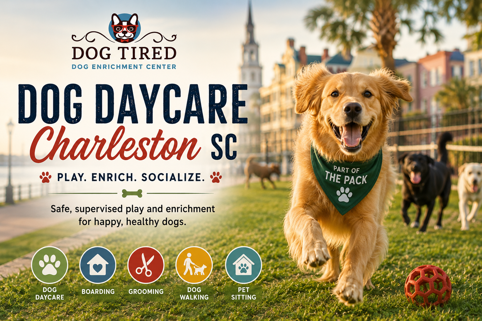 Dog Tired Charleston dog daycare graphic featuring a happy golden retriever playing outdoors with other dogs, with Charleston scenery in the background and text promoting dog daycare, boarding, grooming, dog walking, and pet sitting.
