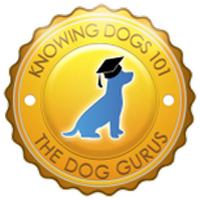 The Dog Gurus Knowing Dogs 101 logo