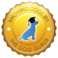 The Dog Gurus Knowing Dogs 201 logo