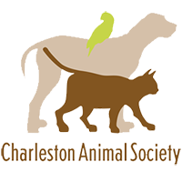 Charleston Animal Society logo