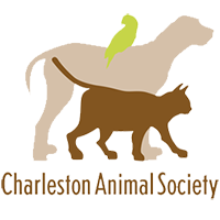 Charleston Animal Society logo